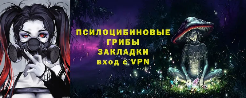 Купить наркоту Ессентуки Амфетамин  СК  Канабис  Гашиш  Псилоцибиновые грибы  Кокаин 