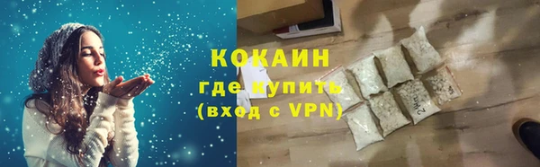 твердый Осинники