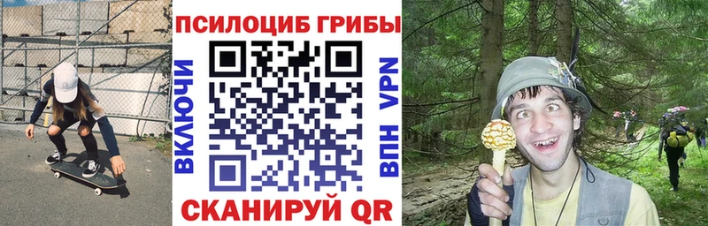 Галлюциногенные грибы мухоморы  блэк спрут ONION  Ессентуки  продажа наркотиков 