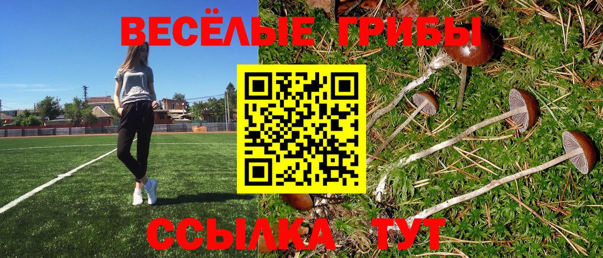 A PVP СК кристаллы  ГЕРОИН  АМФ кристаллы  Ессентуки  Меф МЯУ МЯУ   Cocaine  Мефедрон   COCAIN  ГАШ 