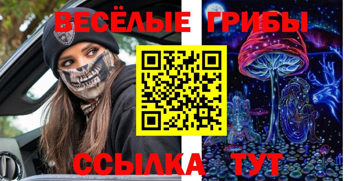 Псилоцибиновые грибы мицелий  Вход с VPN  Ессентуки 
