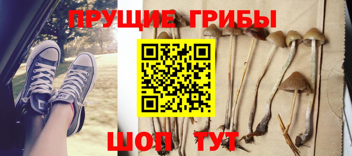 Галлюциногенные грибы мицелий  Ессентуки 