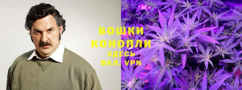 MEGA вход  хочу   Ессентуки  Бошки марихуана Ganja 