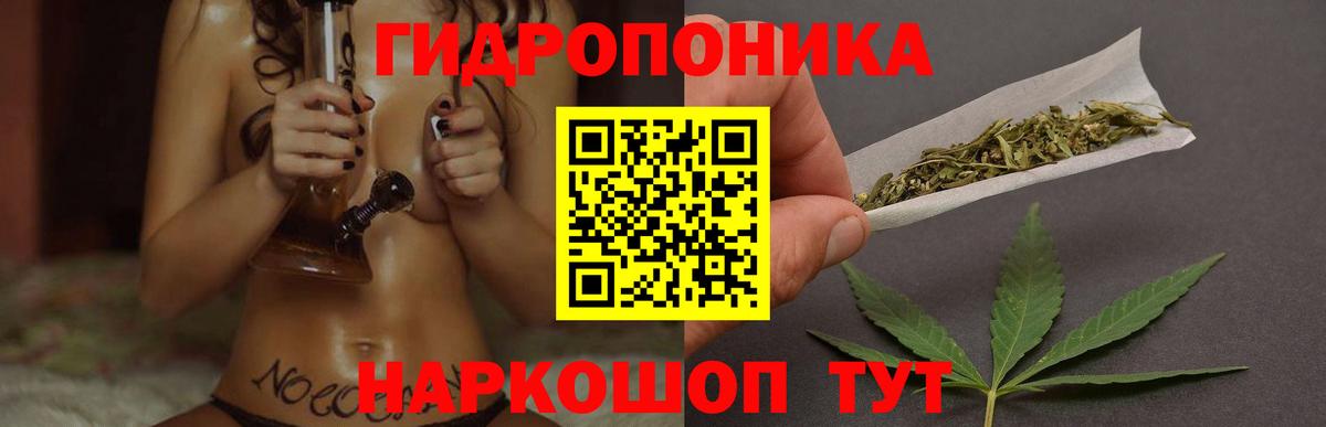 Бошки марихуана планчик Ессентуки